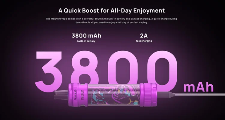 Kit Magnum Aspire batterie 3800mAh